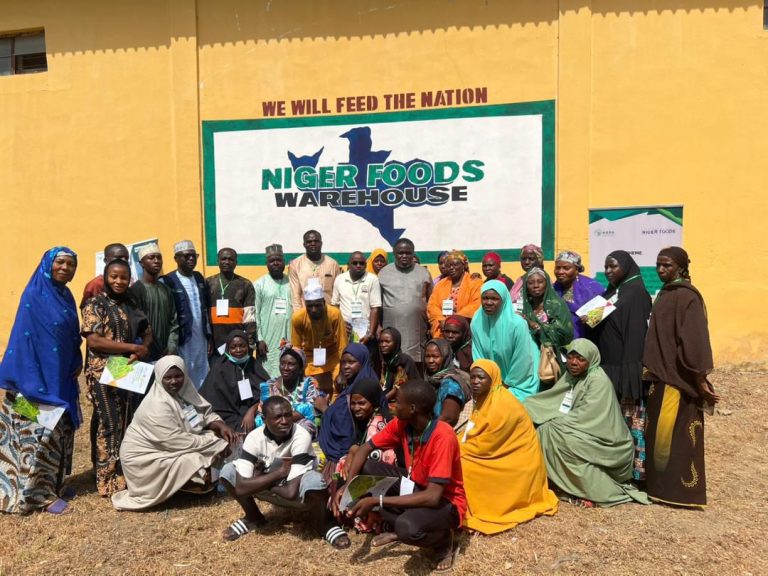 Niger Foods boosts financial skills of smallholder farmers in Minna