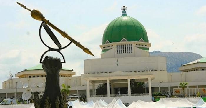 NASS moves to advance legislation on digital innovation, AI for health diagnosis