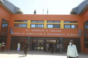 University of Gambia renames School of Agriculture after Akinwumi Adesina