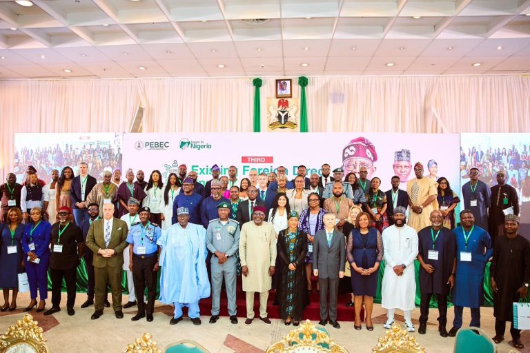 FG unveils fresh support for Nano, small businesses