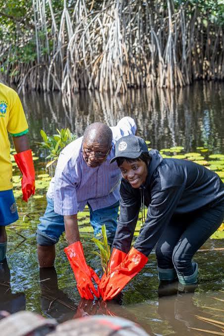 Lomé Rotary plants mangroves to boost climate resilience