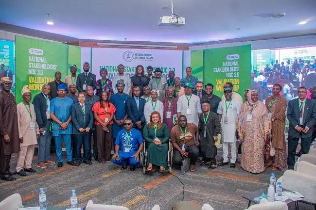 Association calls for inclusive implementation of Nigeria’s NDC