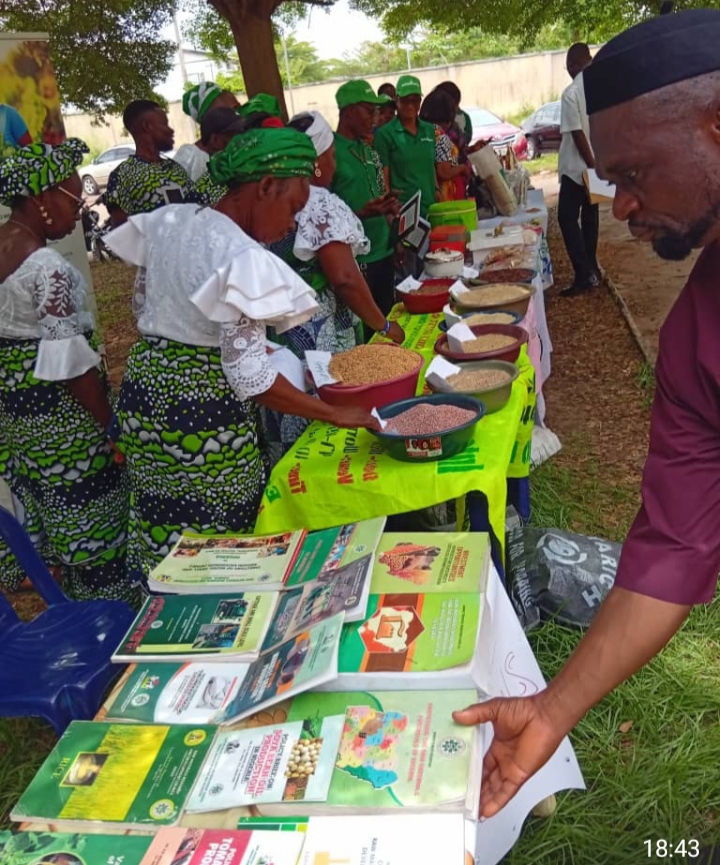 Association urges investment in Ebonyi rice sector