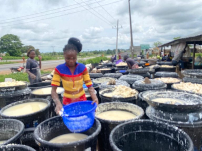 Centre launches cassava processing facility for women