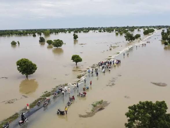 Borno, Yobe, Adamawa ramp up flood preparedness