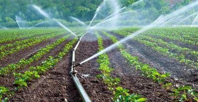 FG boosts Kano dam projects for food security