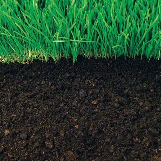 Healthy soils key to future farm profitability, climate resilience – Omnia Healthy soils