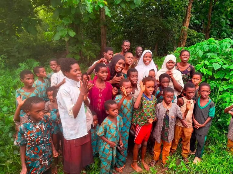 Abducted Oyo pupils and teachers regain freedom after over 50 days in captivity