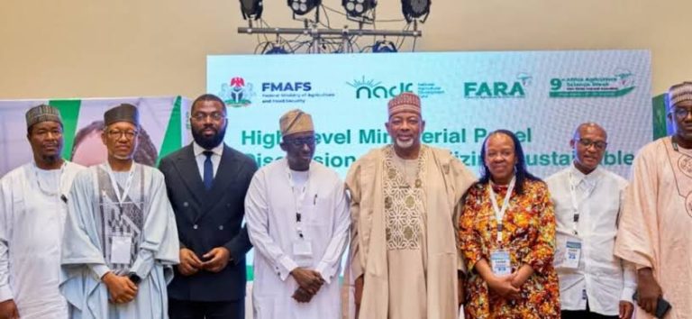 NADF urges Africa to build agricultural innovation ecosystems