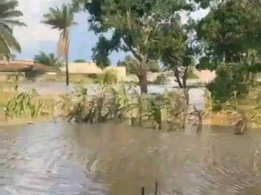 Search launched for 2 swept away by flood in Kaduna river
