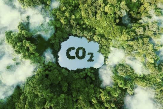 Biochar Group secures $1.5m to turn agricultural waste into carbon removal Carbon removal