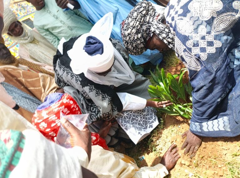 Emir of Zazzau inaugurates tree-planting along Zaria’s ancient walls