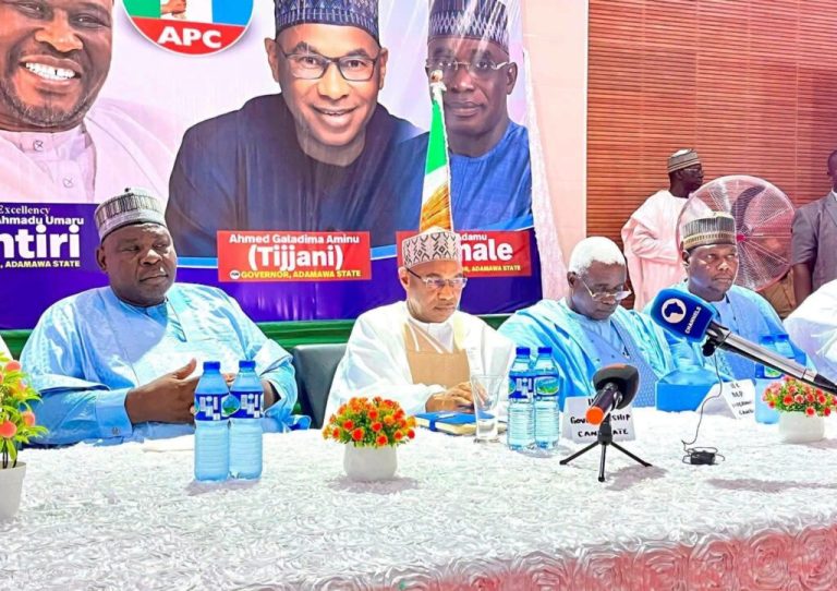 Galadima vows to make agriculture Adamawa’s growth engine