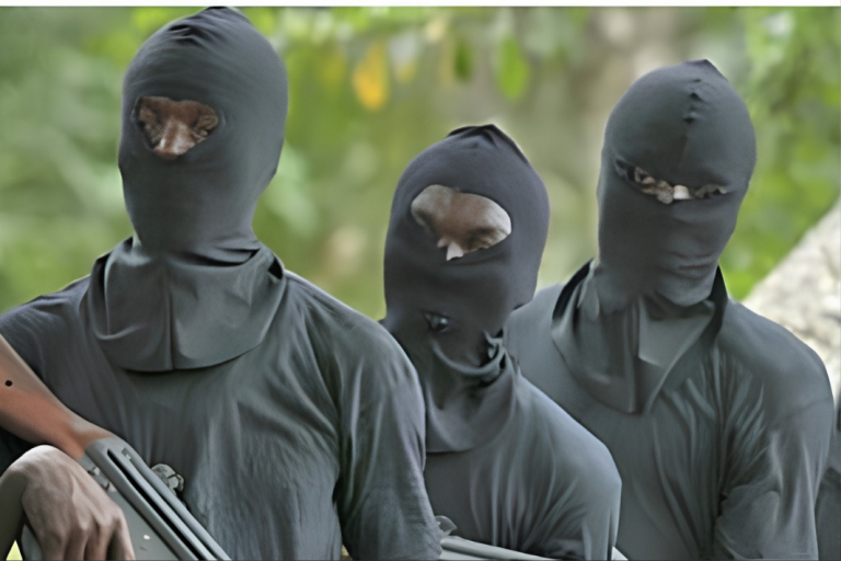 Picture of unknown gunmen. Source ASHENEWS.