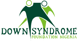 DSFN urges inclusive policies as Nigeria marks 66